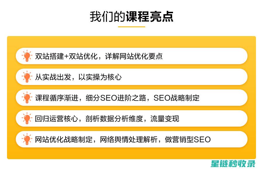 SEO进阶：深入探讨如何高效查看网站收录情况 (seo 技术)