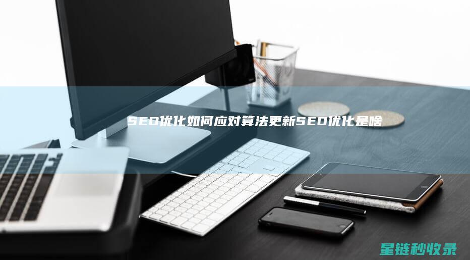 SEO优化：如何应对算法更新 (SEO优化是啥)