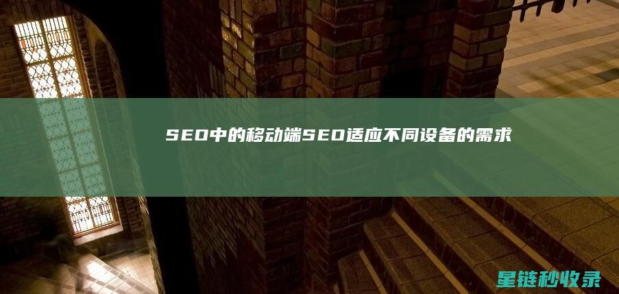 SEO中的移动端SEO：适应不同设备的需求 (seo移动快速排名)