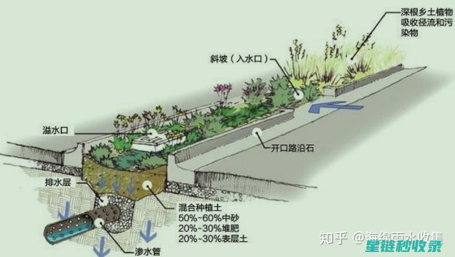农业雨水收集方法：提高作物产量与环境效益 (农业雨水收集能否帮助小农脱贫致富的实验研究方法)