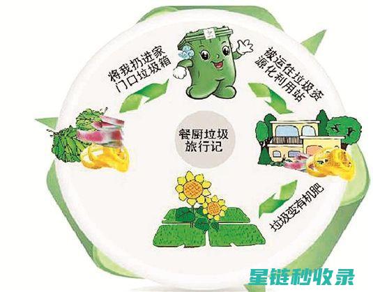 厨余堆肥指南：轻松实现厨余变废为宝 (厨余堆肥指南最新)