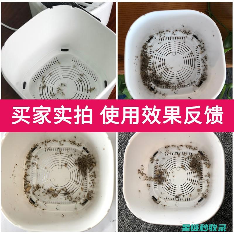 家庭自制驱蚊液：简单配方与制作步骤全分享 (家庭自制驱蚊水)