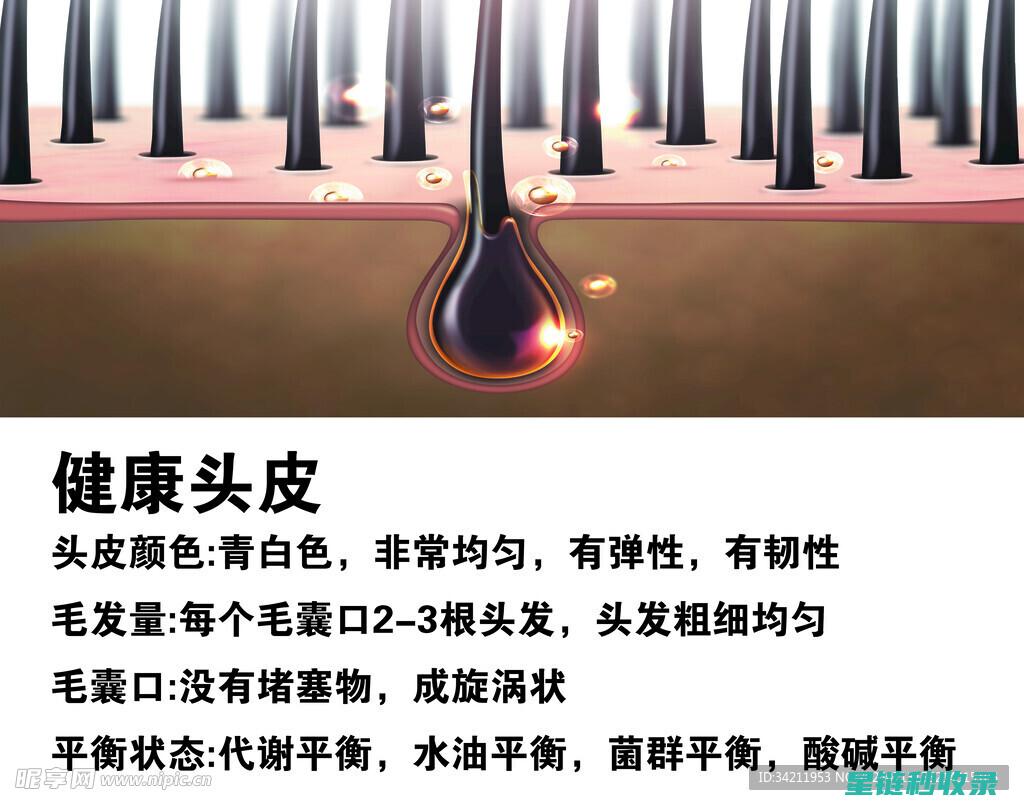 头皮健康与头发护理：相辅相成的秘密 (头皮健康与头发的关系)