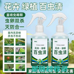 绿意驱虫：揭秘常见植物在防虫中的神奇应用 (绿色驱虫药水)
