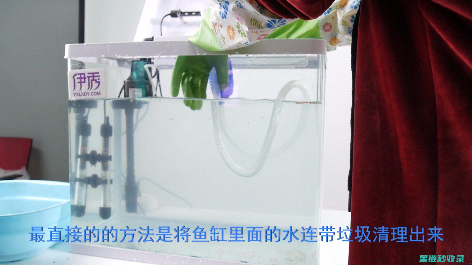 鱼缸清洁秘籍：全面解析水族箱维护要点 (鱼缸清洁秘籍有哪些)