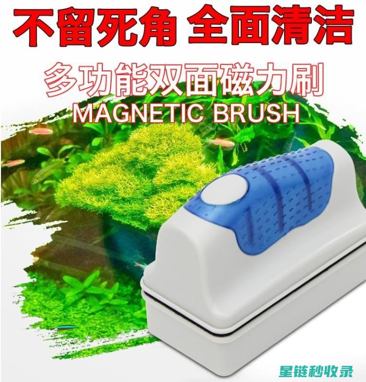 透彻鱼缸清洁攻略：打造清澈宁静的水中世界 (如何清洁鱼缸)