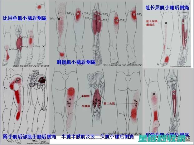 直击痛点！权威发布当前最有效的消费者投诉渠道