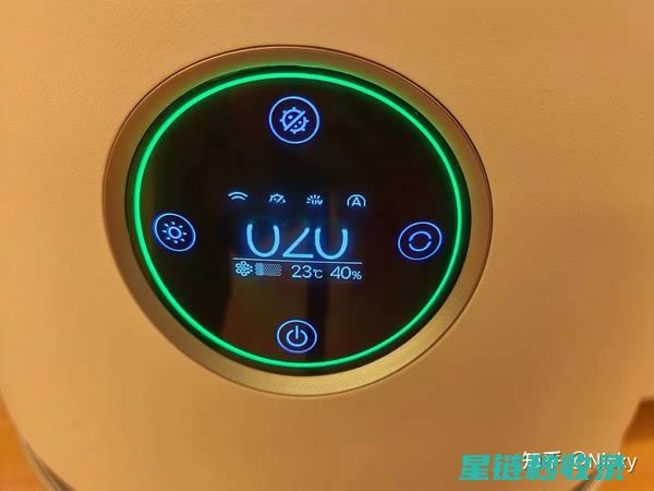 净化空气新选择：揭秘最有效的空气净化植物 (净化空气新选什么颜色)