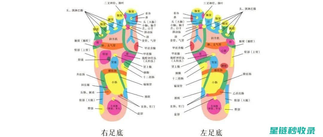 《深入了解脚部护理：小细节大功效的全方位解析》 (深入了解)
