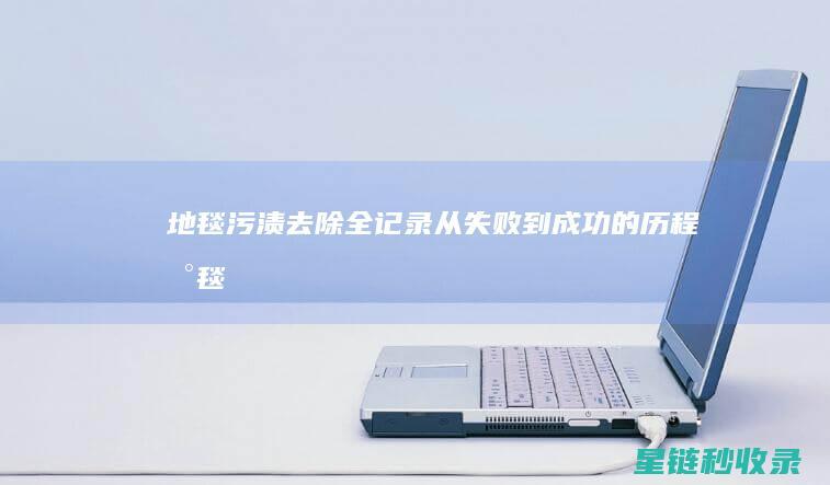 地毯污渍去除全记录：从失败到成功的历程 (地毯污渍去除办法)