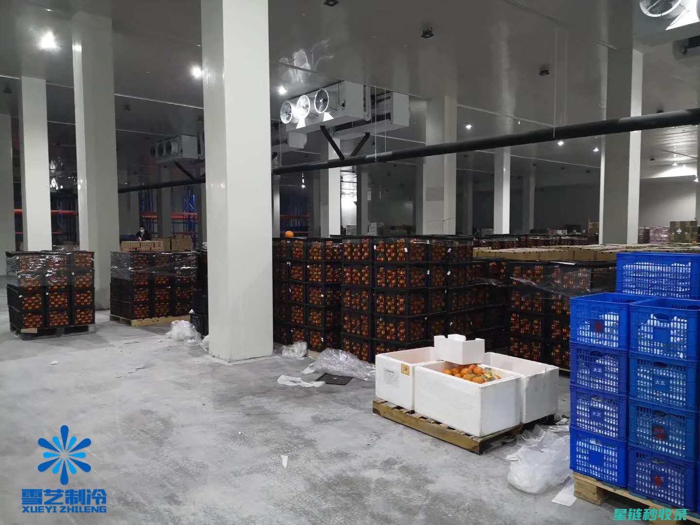 延长水果保鲜时间的秘诀，让你的水果更持久 (延长水果保鲜期最有效的方法)
