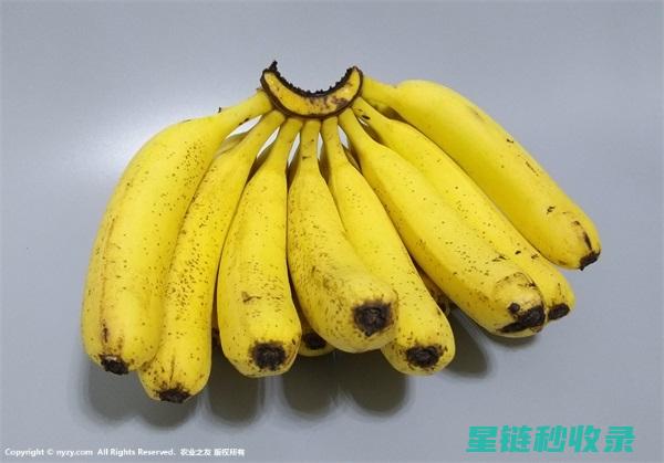 香蕉保鲜全攻略，延长新鲜度的全面指南 (香蕉保鲜技术)