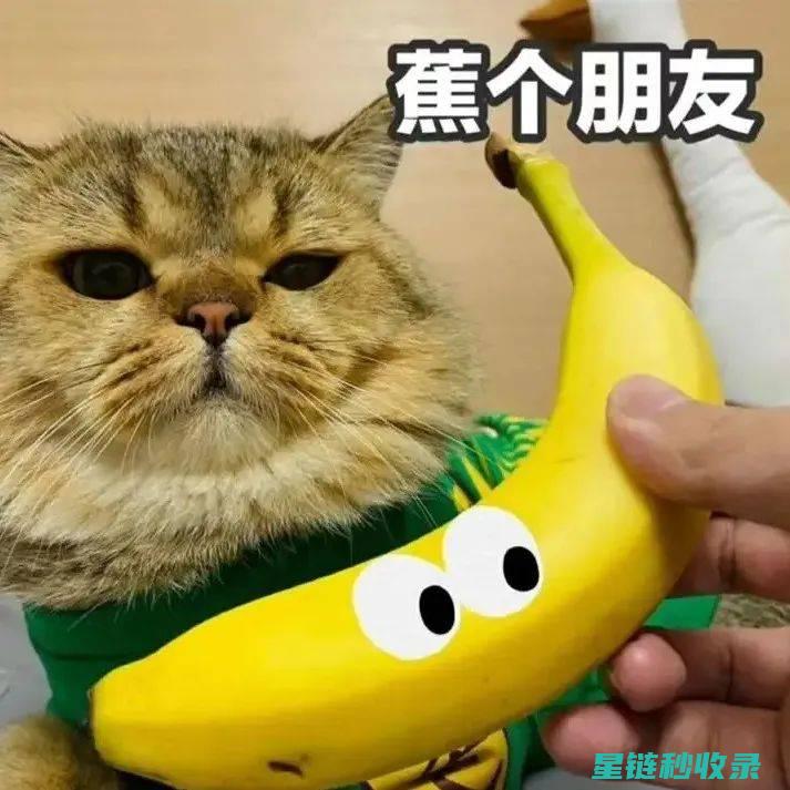 不想香蕉过早变质？试试这些保鲜技巧 (不想香蕉过早吃怎么办)