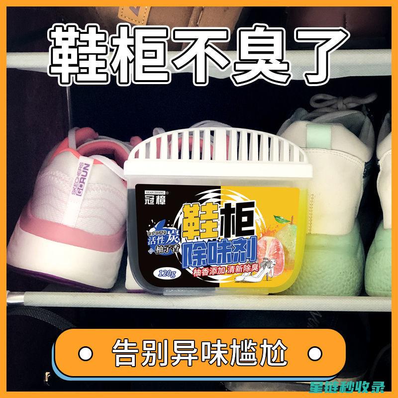 衣柜除味经验分享：从失败到成功的全过程 (衣柜除味经验总结)
