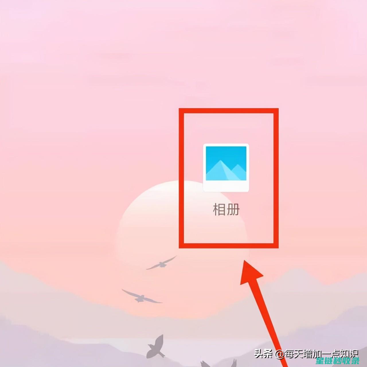 照片保存全攻略：轻松实现照片的长效保存 (保存整张照片)