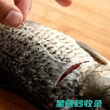 去除鱼腥味，食材选择也很重要 (去除鱼腥味的有效方法)