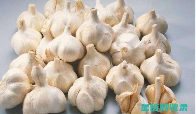 去除蒜味的神奇食谱，试试看！ (去除蒜味的神器)