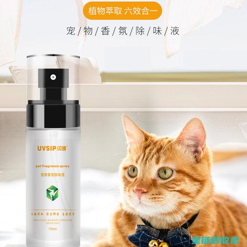 宠物异味去除全攻略：轻松解决宠物臭味问题 (宠物异味去除公司)