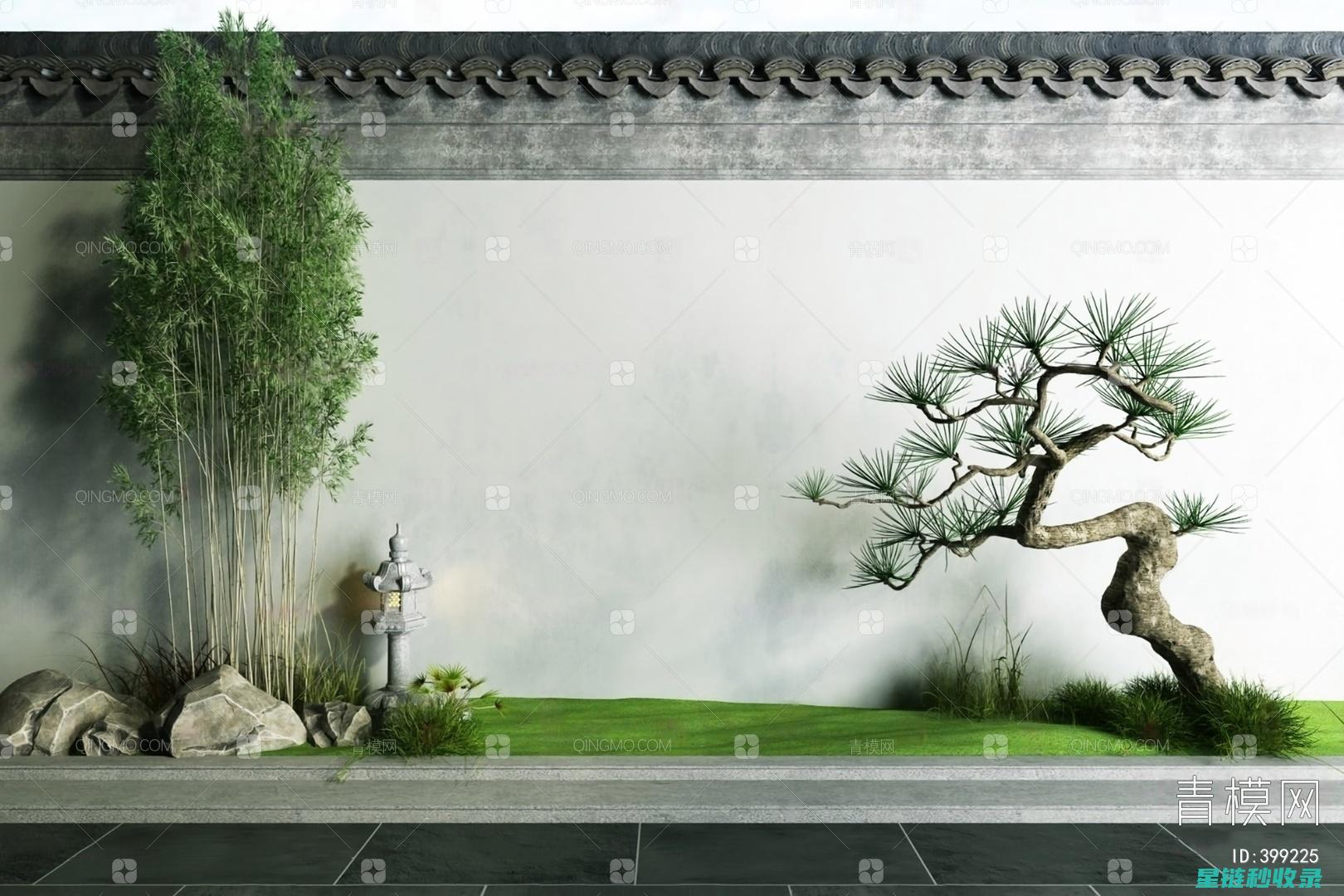 园艺小贴士：打造美丽的家庭花园 (园艺小常识)
