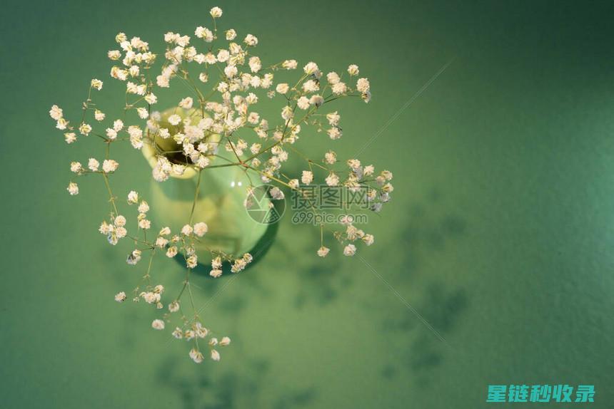 花瓶清洁的细致步骤，打造精致家居环境 (花瓶清洁的细菌有哪些)