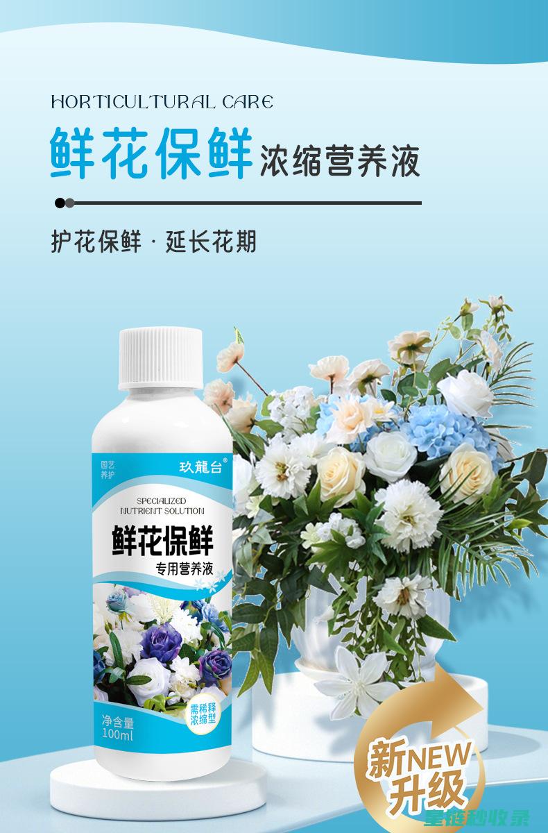 延长鲜花花期：从选择品种到日常护理的完整流程 (延长鲜花花期的小妙招)