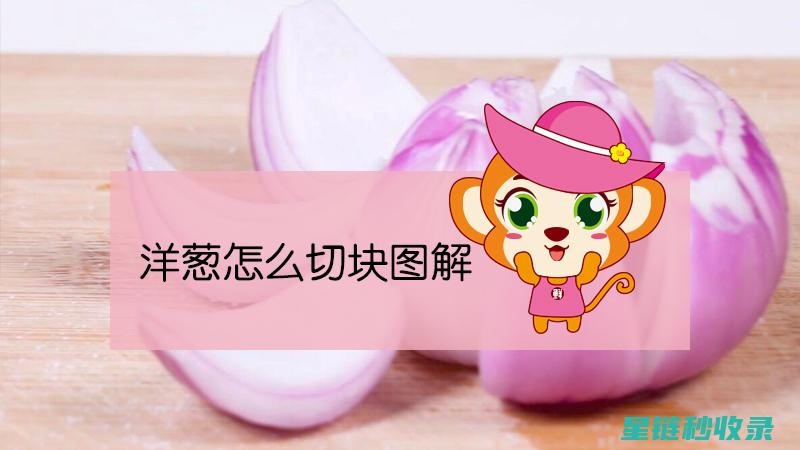 快速切洋葱丁：刀工进阶之路 (快速切洋葱丁的方法)