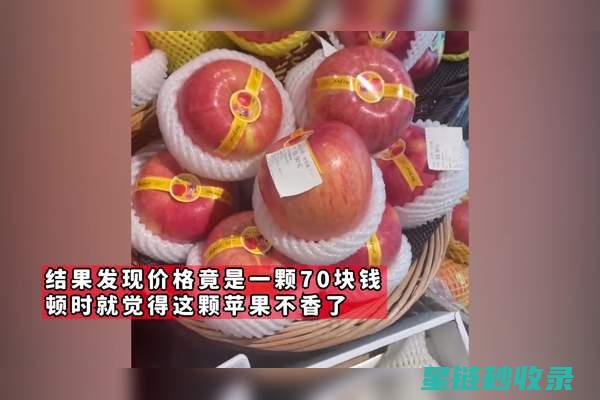 不想浪费苹果？掌握这几种防止氧化的技巧 (不想浪费苹果的软件)