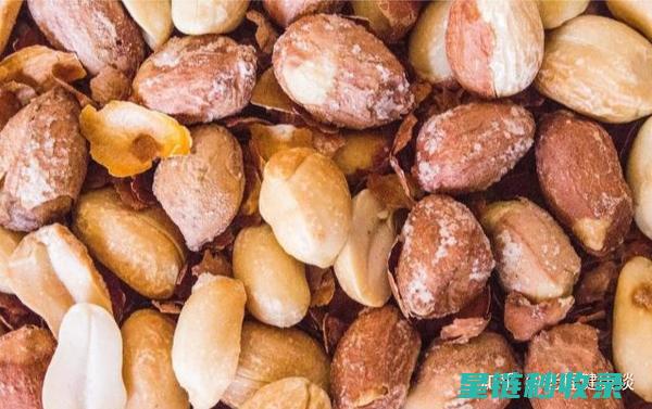 延长坚果保质期的秘诀，从储存方式开始 (延长坚果保质期的方法)
