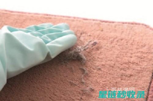 地毯快速清洁：污渍清除的家庭小妙招 (地毯快速清洁方法)