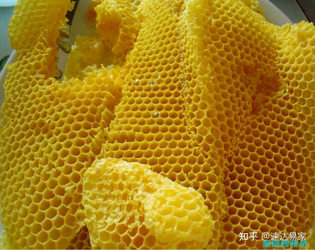 地板打蜡后多久能再次打蜡？间隔时间要掌握 (地板打蜡后多久可以踩)