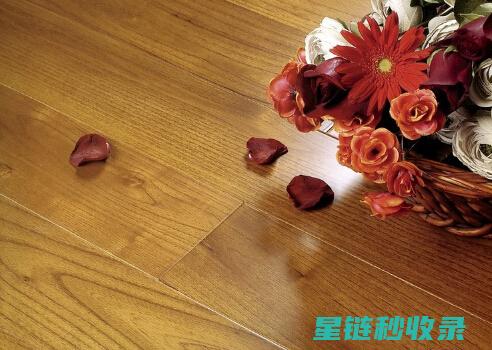 木地板保养全手册：实用技巧与经验分享 (木地板保养全过程视频)