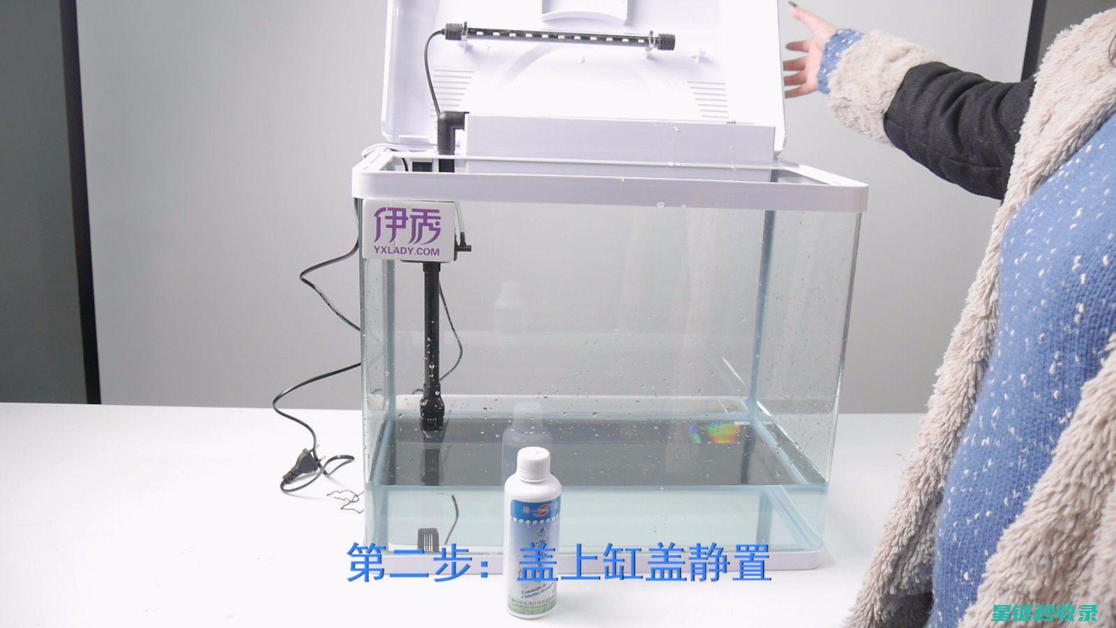 鱼缸清洁后检查：确认一切正常的方法 (鱼缸清洁后多久能养鱼)