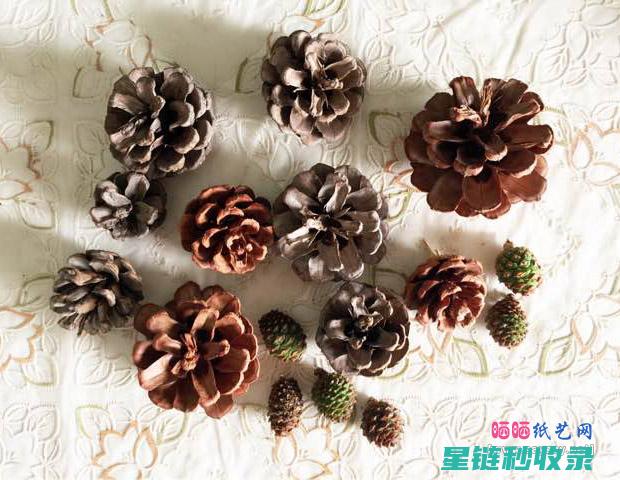 简单几步自制雨刮水，让驾驶更安全 (简单几步自制驱蚊神器)